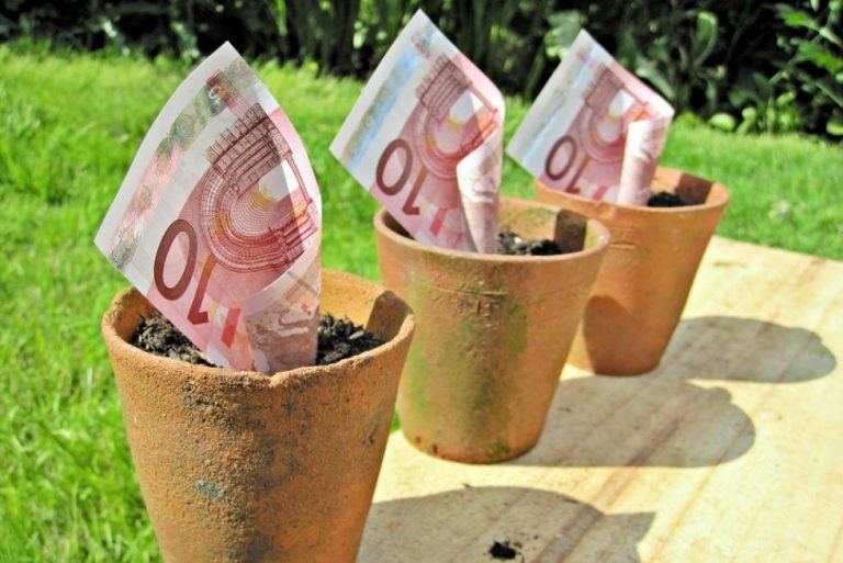 Halvin Pikavippi 2022 - Edullisin Vippi Pienellä Korolla
